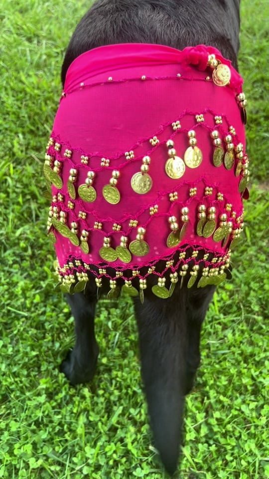Post 9 by Miss Wiggle Butt🩷 on TikTok (video)