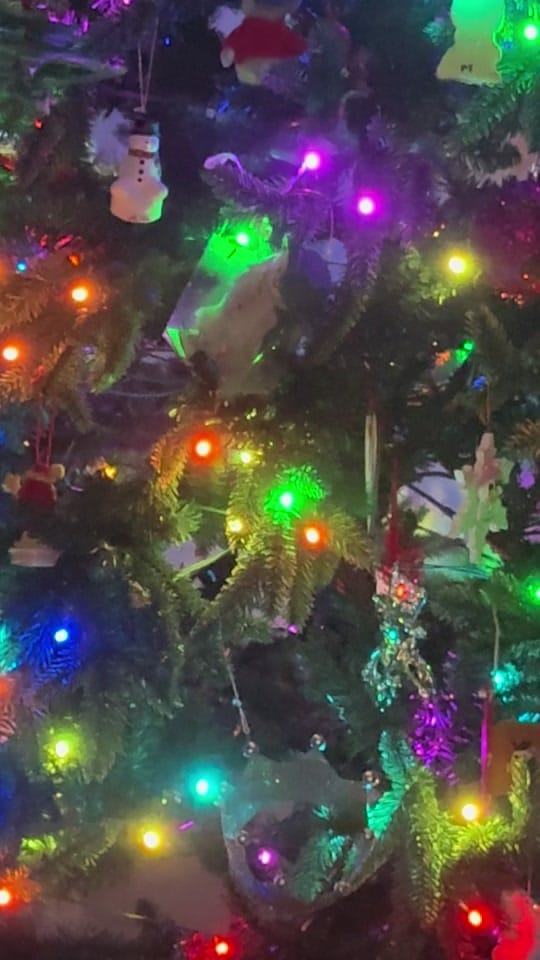 Post 7 by Miss Wiggle Butt🩷 on TikTok (video)