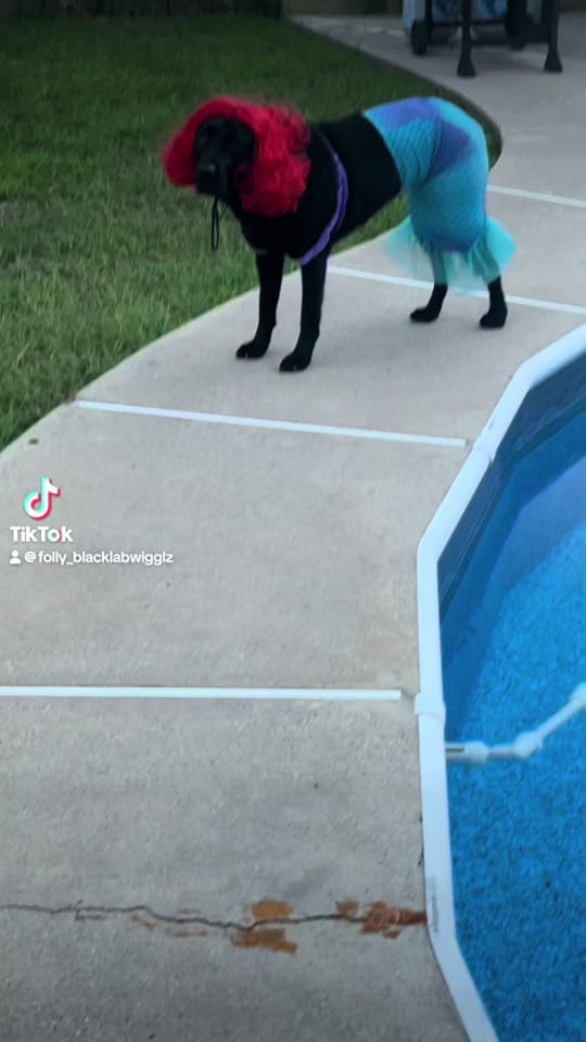 Post 8 by Miss Wiggle Butt🩷 on TikTok (video)
