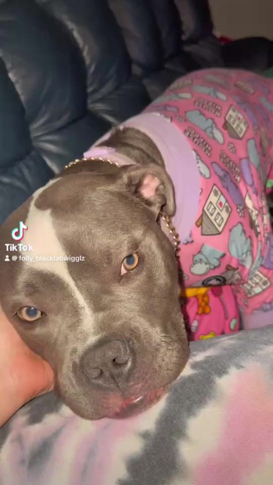 Post 3 by Miss Wiggle Butt🩷 on TikTok (video)