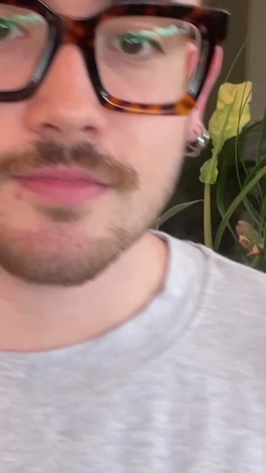 Post 6 by dingo ugc 🌱 on TikTok (video)