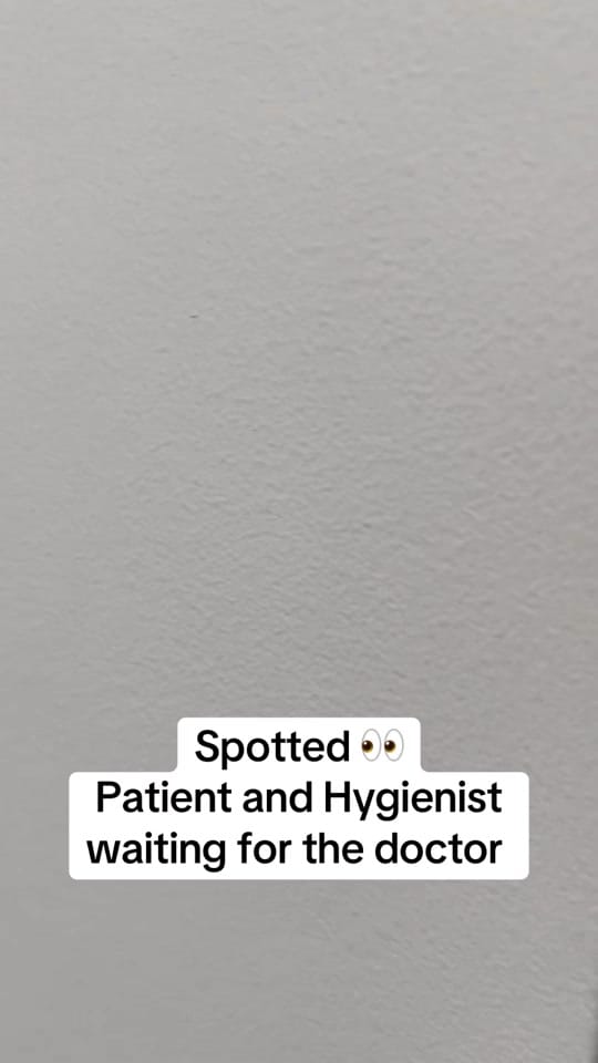 Post 5 by skylinesmileschicago on TikTok (video)