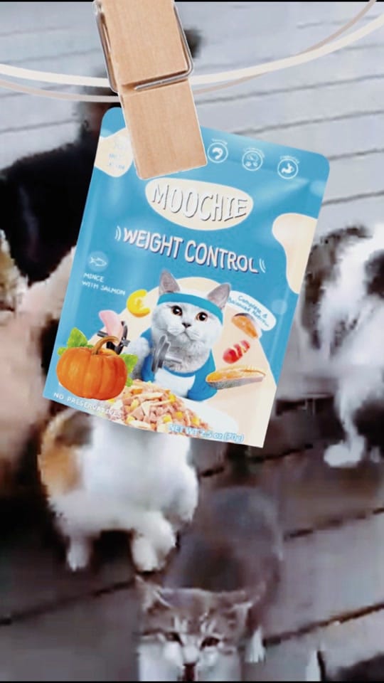 Post 3 by Petter Care Philippines on TikTok (video)