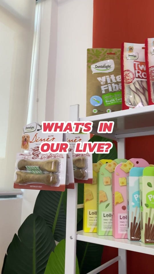 Post 10 by Petter Care Philippines on TikTok (video)