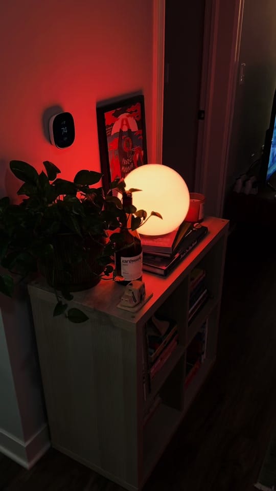 Post 6 by Carly | LCSW 🍉 on TikTok (video)