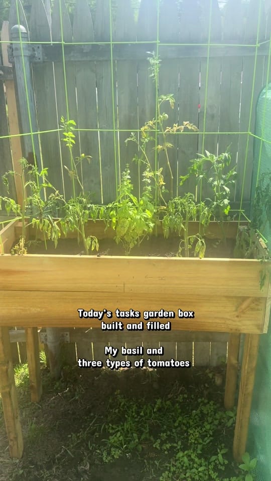 Post 9 by Jade_Sahm📚 on TikTok (video)