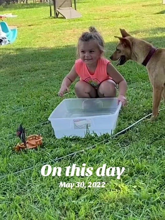 Post 9 by cindy on TikTok (video)