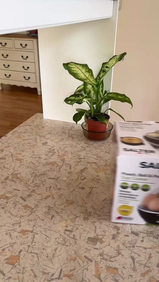 Post 2 by HomeOfBrands on TikTok (video)