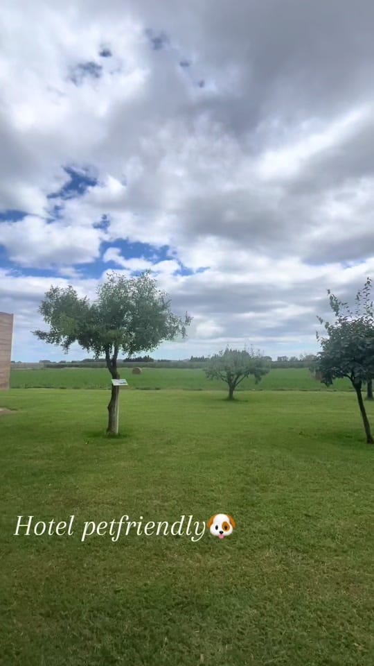 Post 6 by Laura Lloret on TikTok (video)