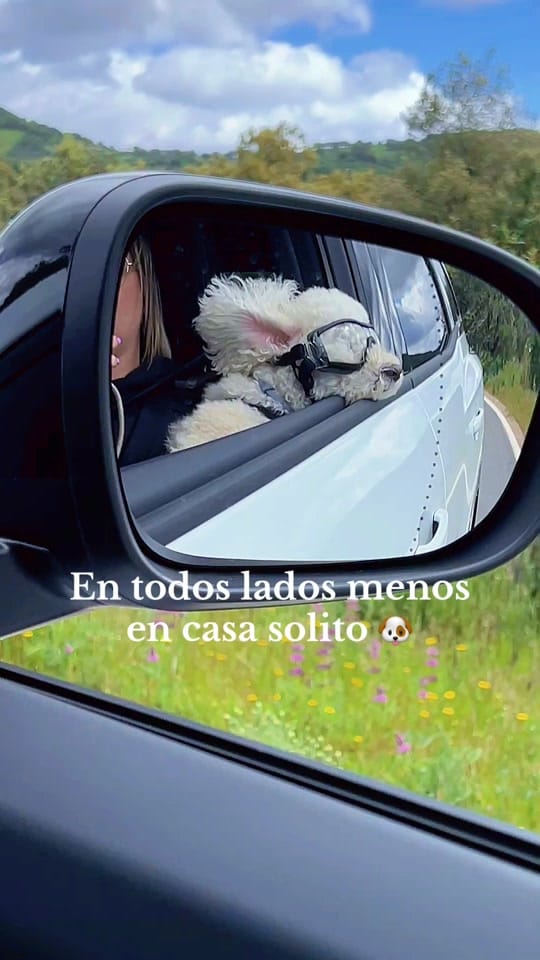 Post 3 by Laura Lloret on TikTok (video)