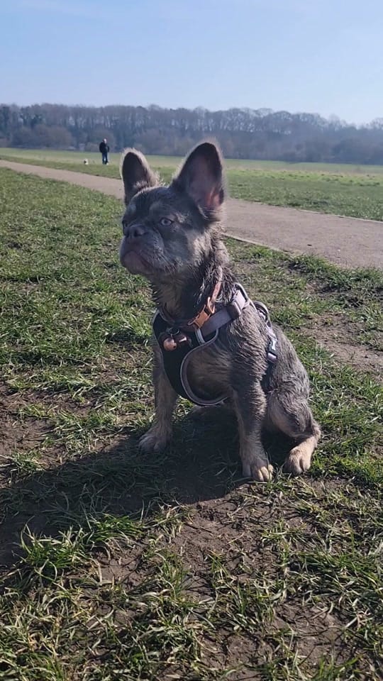Post 3 by Pretty Lil Finds on TikTok (video)