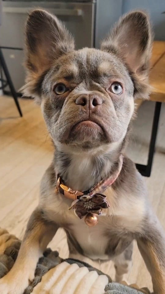 Post 8 by Pretty Lil Finds on TikTok (video)