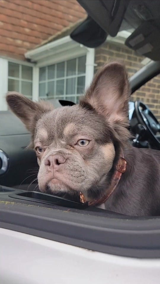 Post 10 by Pretty Lil Finds on TikTok (video)