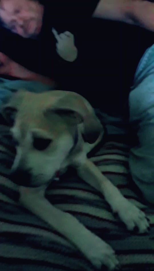 Post 4 by Tracy Henning on TikTok (video)