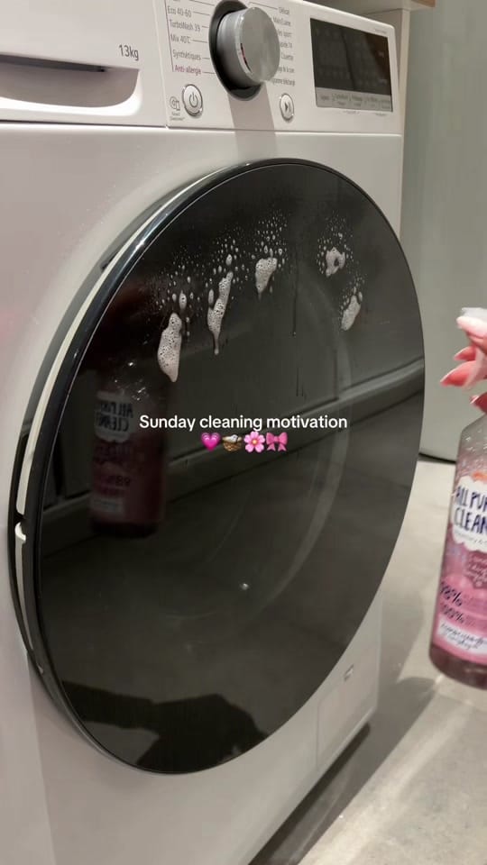 Post 5 by cleanwithcha on TikTok (video)
