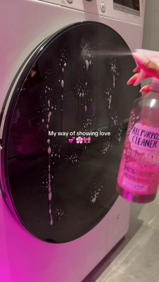 Post 2 by cleanwithcha on TikTok (video)