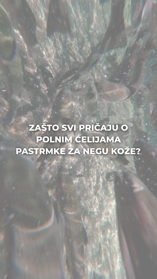Post 3 by Dr Dejan Antonic on TikTok (video)