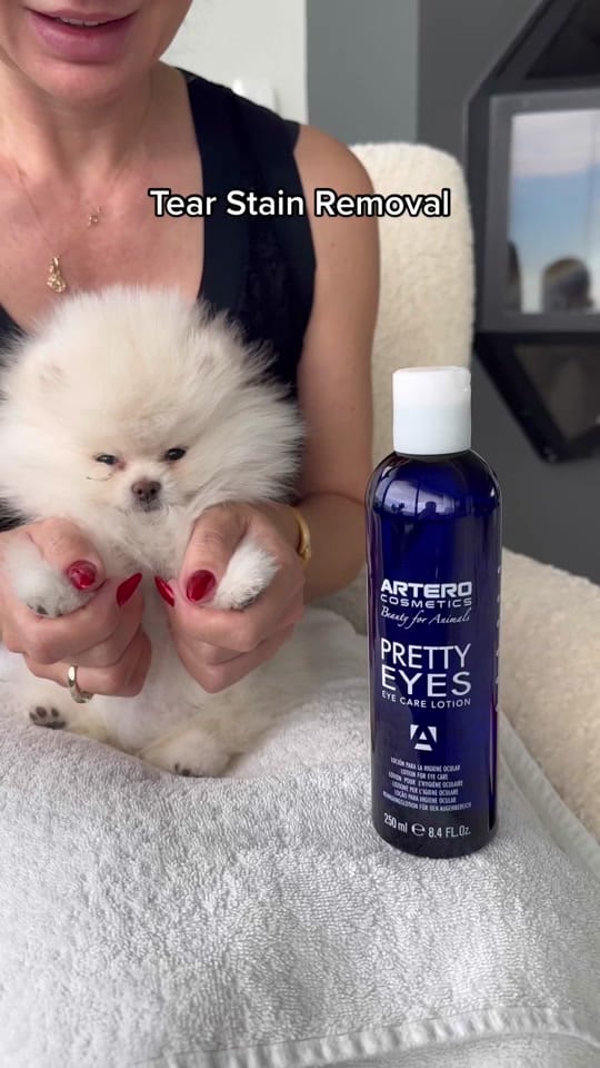 Post 9 by Bonnie Pom on TikTok (video)