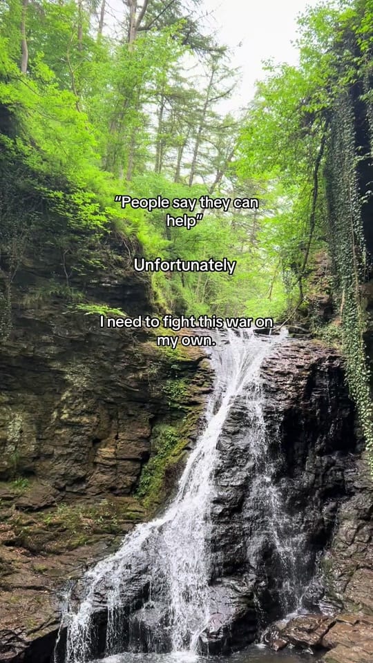 Post 4 by 🌅🌠Josh🌄🏞️ on TikTok (video)