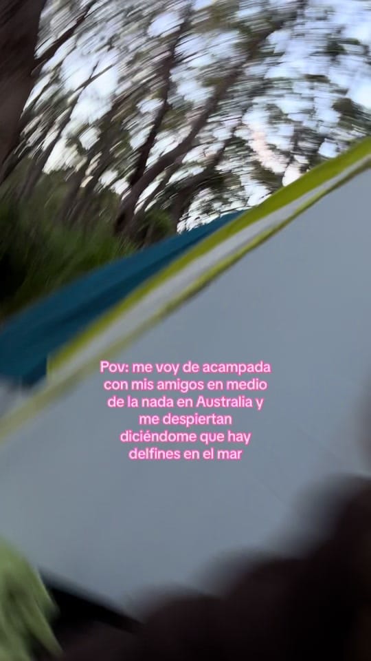 Post 10 by Anahí Mancebo on TikTok (video)