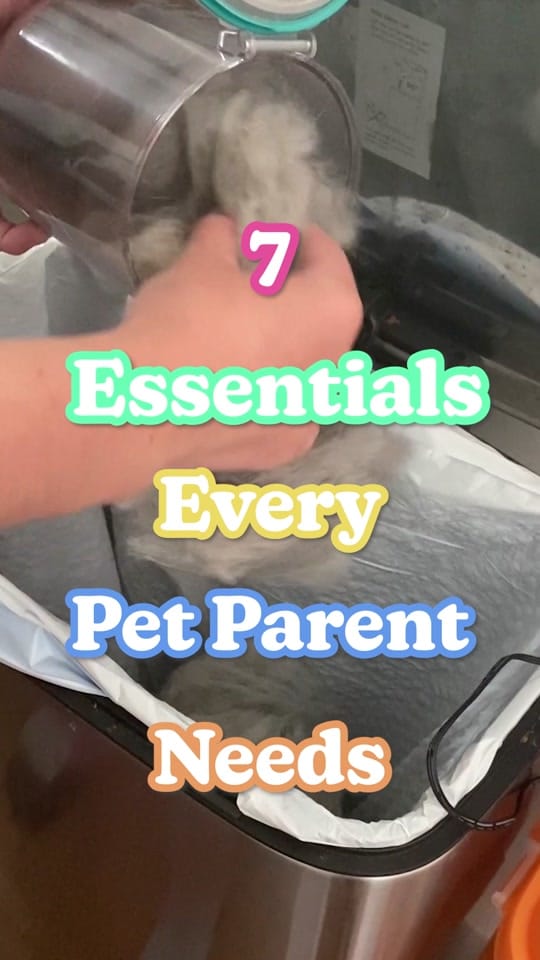 Post 8 by BuzzFeed Shopping on TikTok (video)