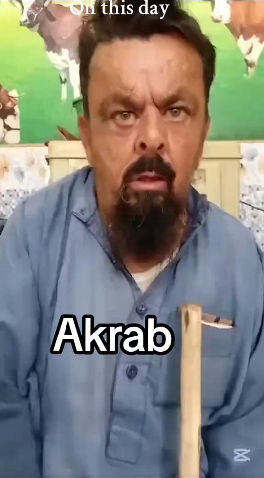 Post 4 by rahmatalikami funny on TikTok (video)