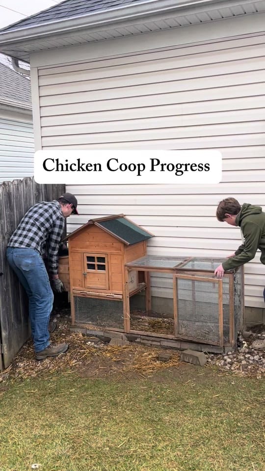 Post 9 by theeverydayhomeco on TikTok (video)