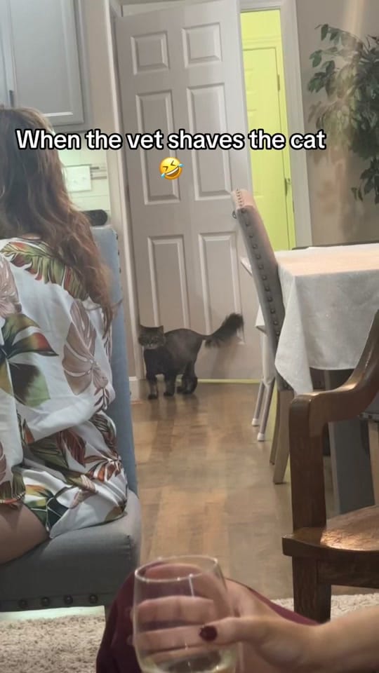 Post 5 by Chrissy on TikTok (video)