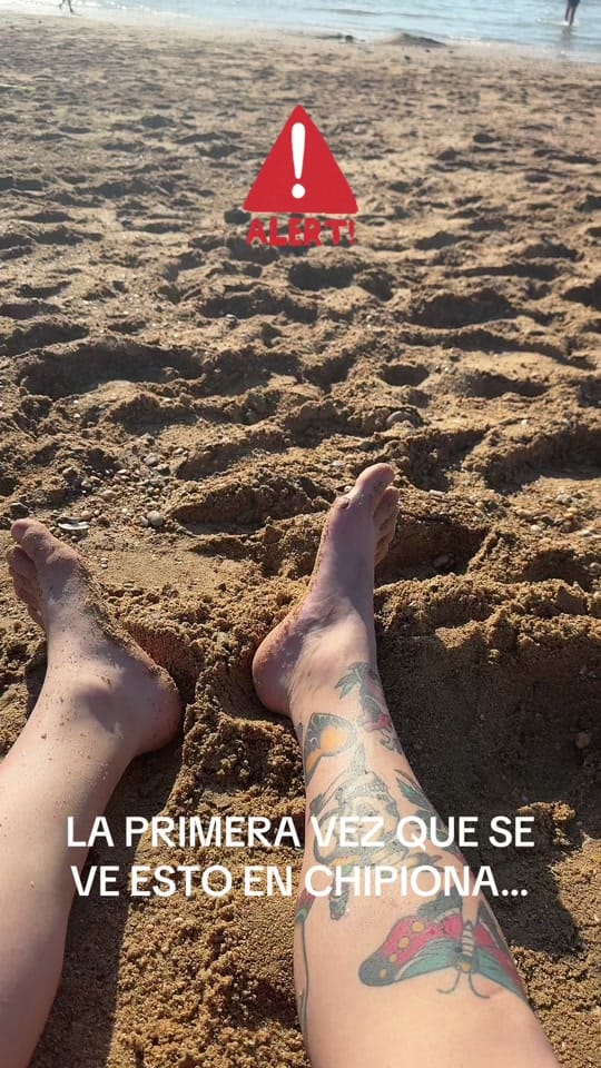 Post 5 by Goofy on TikTok (video)