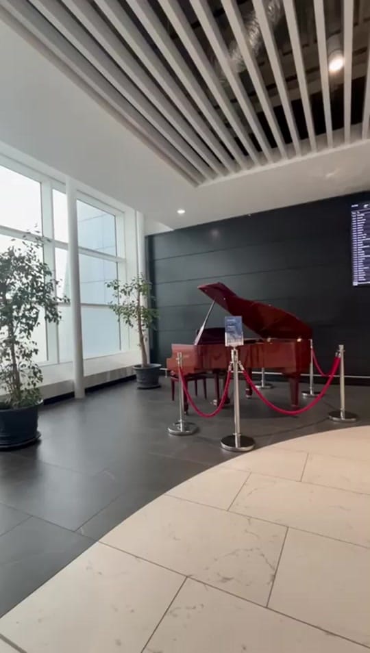 Post 7 by Goofy on TikTok (video)