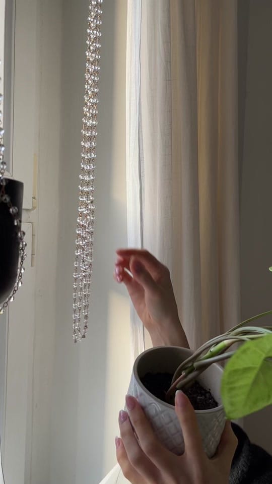 Post 10 by seedor.store - plant aesthetic on TikTok (video)