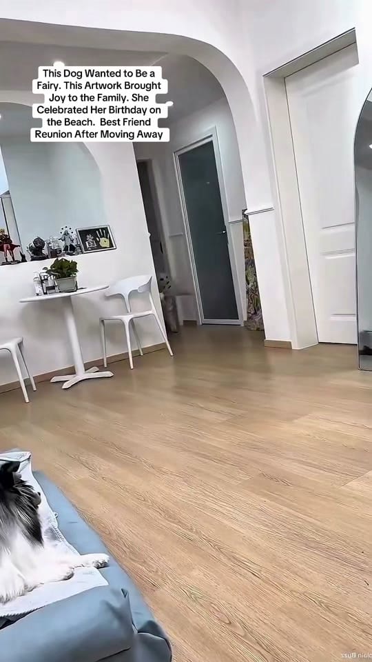 Post 4 by Felix Jungle on TikTok (video)