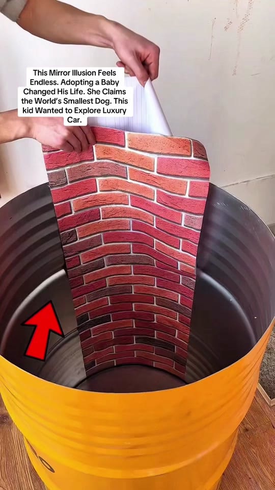 Post 2 by Felix Jungle on TikTok (video)