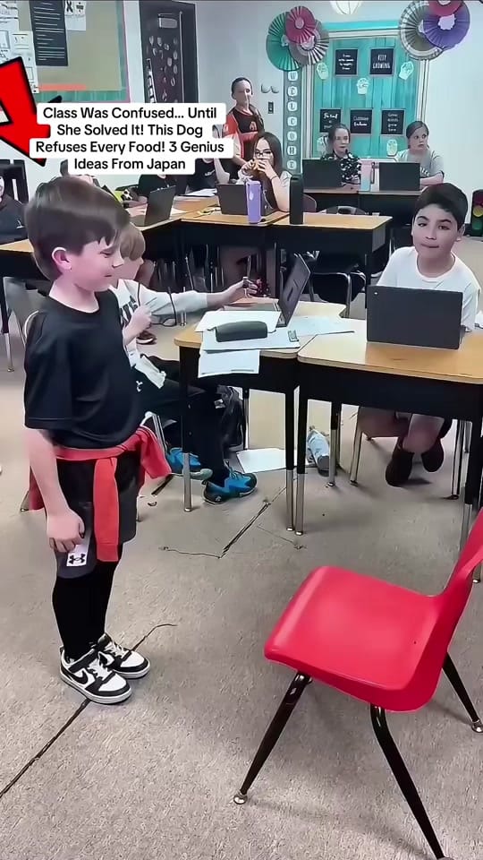 Post 10 by Felix Jungle on TikTok (video)