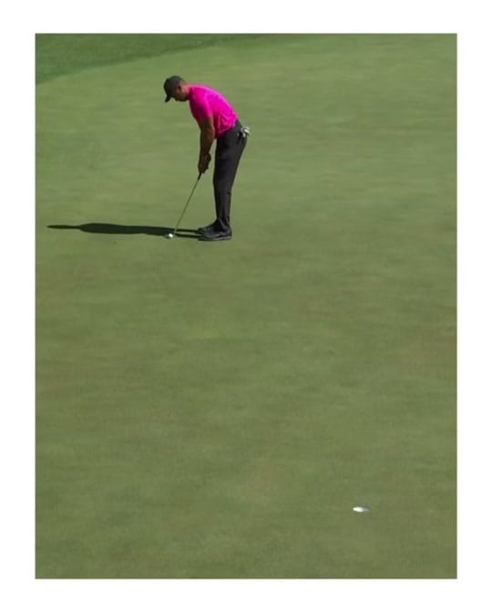 Post 6 by BACKNINESMATTER ⛳️ on TikTok (video)