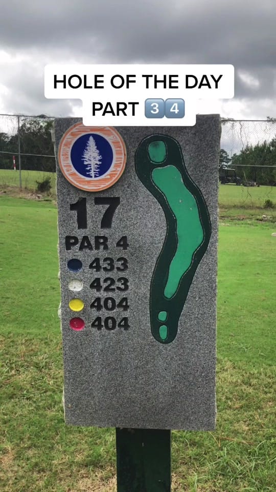 Post 9 by BACKNINESMATTER ⛳️ on TikTok (video)