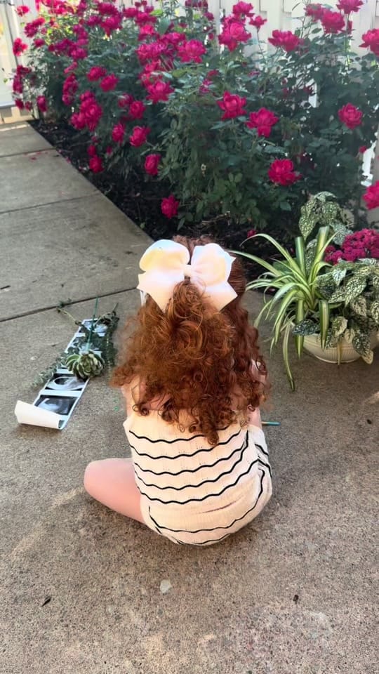 Post 4 by morganhubble on TikTok (video)