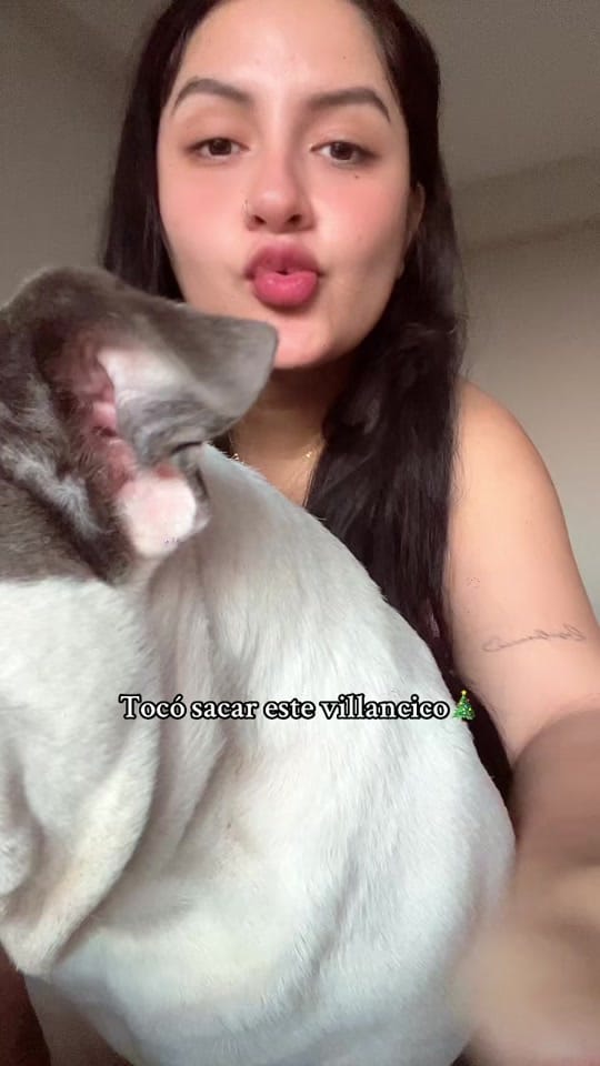 Post 5 by Yessenia Yrene on TikTok (video)