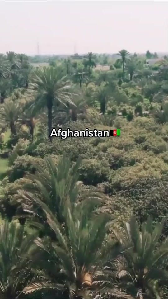 Post 10 by Afghan Supermarket Essen🇦🇫🦅 on TikTok (video)