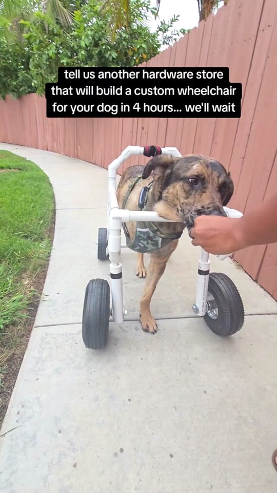 Post 9 by taylortalks on TikTok (video)