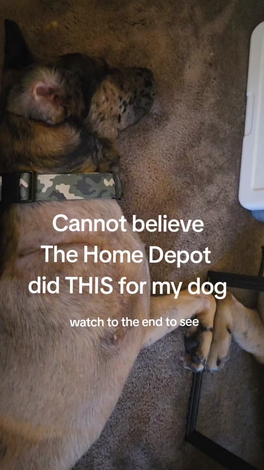 Post 10 by taylortalks on TikTok (video)