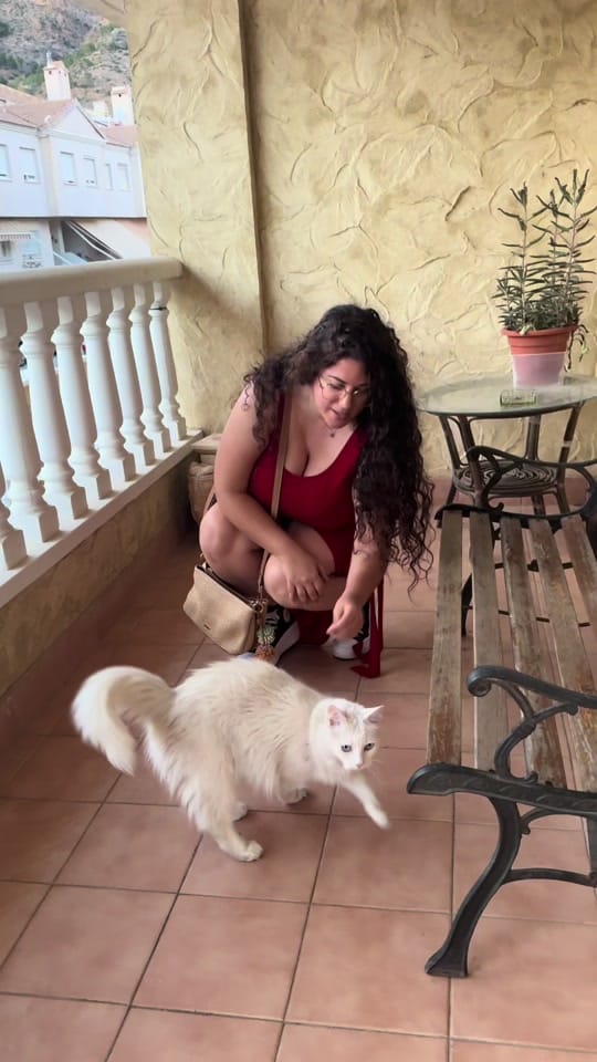 Post 8 by Davinia Fructuoso on TikTok (video)