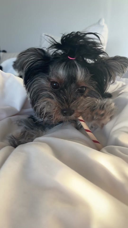 Post 5 by injectwithkaitt on TikTok (video)