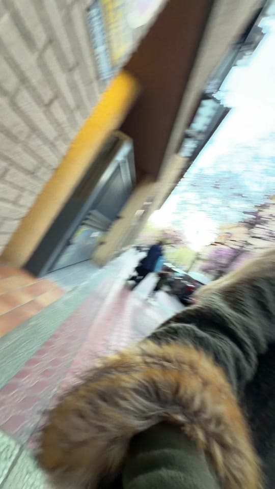 Post 2 by Berta Alonso 🏎 on TikTok (video)