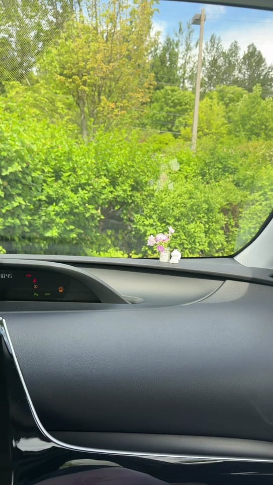 Post 8 by Brenda Gonzalez 🎀 on TikTok (video)