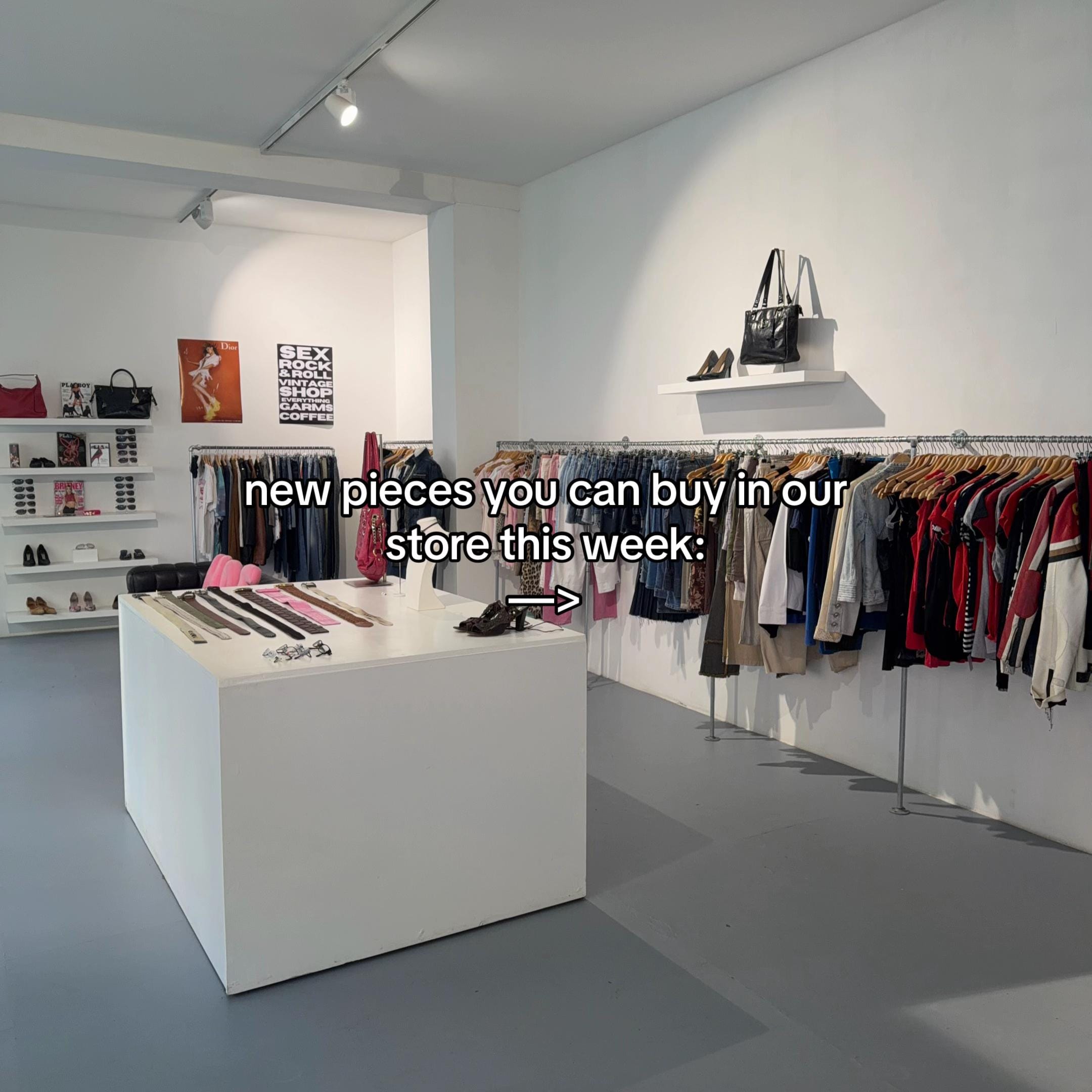Post 4 by everythinggarms on TikTok (video)