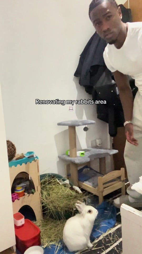 Post 9 by mrphirii on TikTok (video)