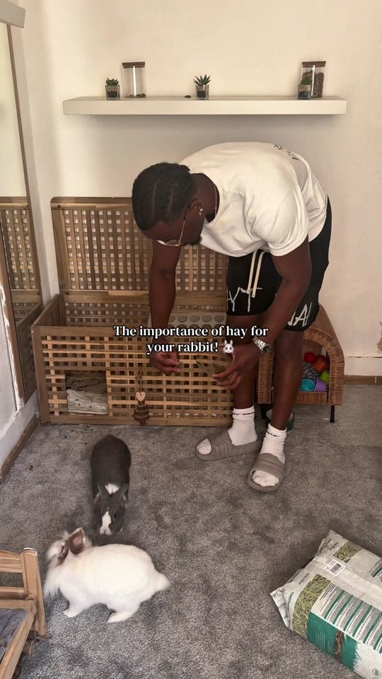 Post 4 by mrphirii on TikTok (video)