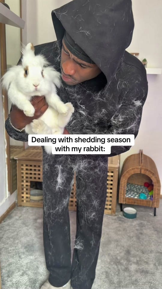 Post 6 by mrphirii on TikTok (video)