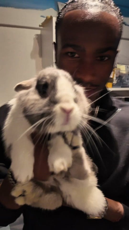 Post 5 by mrphirii on TikTok (video)